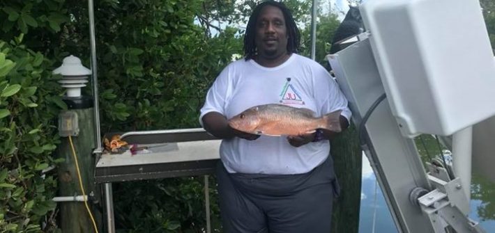 Spearfishing charter off Marathon in the Fl Keys. This fat mangrove snapper was …